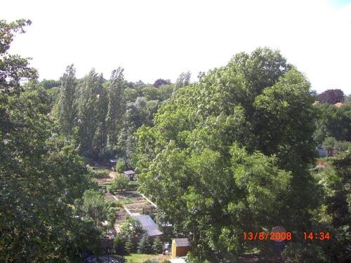 Foto - 
