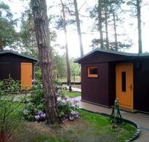 Urlaub in 2 Ferienhäuser für 6 Personen am Schwielochsee - Märkische Heide