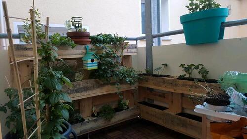 Foto - Dachgeschoßwohnung in Gera zur Miete