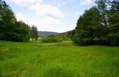 Foto - Waldfläche Wiesenfläche Mittenaar Offenbach