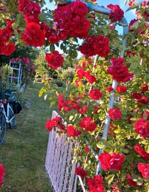 Foto - Garten in Lütten Klein - 4.500,00&nbsp;EUR Kaltmiete, ca.&nbsp; 0,00&nbsp;m&sup2;