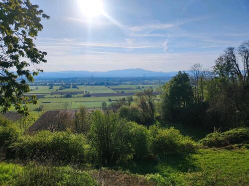 Foto - Gartengrundstück c.a 2800qm2 Bahlingen Kaiserstuhl