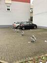Foto - Stellplatz für PKW in der Kettwiger Altstadt