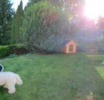 Zweifamilienhaus mit Einliegerwohnung - Friedberg (Hessen)