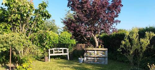 Foto - Grundst&uuml;ck zur Miete in Chemnitz