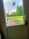 Foto - Einfamilienhaus in Großefehn zum Kaufen
