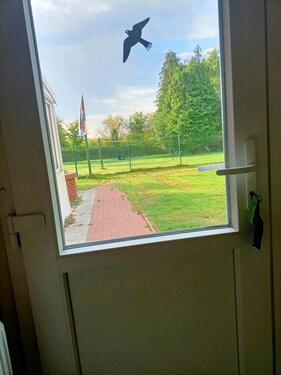 Foto - Einfamilienhaus in Großefehn zum Kaufen