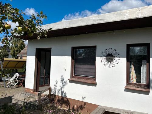 Foto - Pachtgarten Massivlaube 550 m2 in 04808 Wurzen