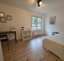 vollständig möblierte 1-Zimmerwohnung in der Neckarstadt - Mannheim Herzogenried