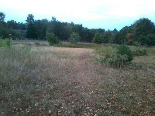 Foto - Grundstück zur Miete in Rehburg-Loccum