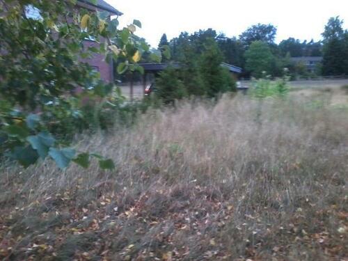 Foto - Grundstück in Rehburg-Loccum zur Miete