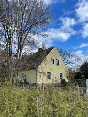 Foto - Einfamilienhaus in Wriezen zum Kaufen