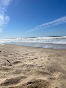Foto - andere in Bielefeld zur Miete
