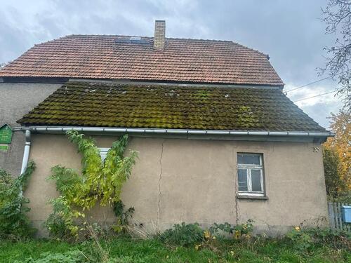 Foto - 5 Zimmer Einfamilienhaus in Oschatz