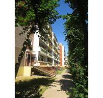 Renovierte 3-Raum Wohnung in der Innenstadt! - Bitterfeld-Wolfen