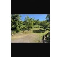 Einfamilienhaus Talsperre Kriebstein - Mittweida