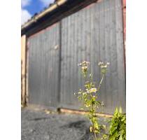 Leerstehende Garage in ruhiger Lage von Limbach-Oberfrohna