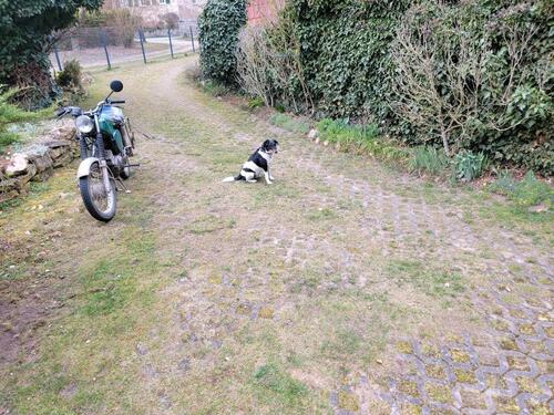 Foto - 4 Zimmer Reihenhaus in Naumburg (Saale)