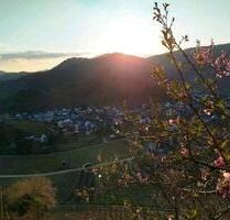 Mietwohnung in Mayschoß - 500,00&nbsp;EUR Kaltmiete, ca.&nbsp; 55,00&nbsp;m&sup2; in Bad Neuenahr-Ahrweiler (PLZ: 53474)