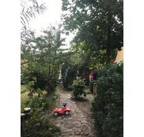 Großzügige 6 Raum Wohnung direkt in Dargun Garten EG Terrasse