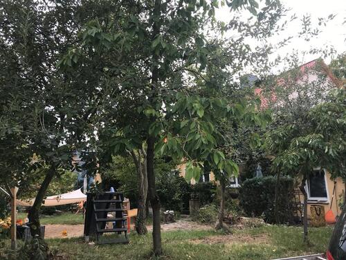 Foto - Etagenwohnung zur Miete in Dargun