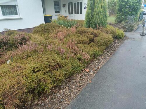 Foto - Einfamilienhaus mit Einliegerwohnung am Brasselsberg in Kassel