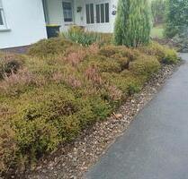 Einfamilienhaus mit Einliegerwohnung am Brasselsberg in Kassel