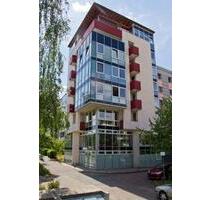 Lassen Sie Ihrer Kreativität freien Lauf! - Die perfekte Wahl! - Dresden Cotta