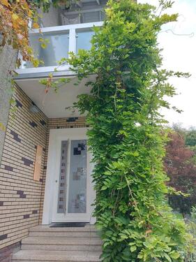 Foto - Ferienwohnung zeitweise - 45,00&nbsp;EUR Kaltmiete,