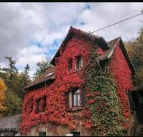 Einfamilienhaus in der Natur - 125.000,00&nbsp;EUR Kaufpreis, ca.&nbsp; 100,00&nbsp;m&sup2; in Enkenbach-Alsenborn (PLZ: 67677)