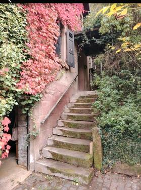 Foto - 4 Zimmer Einfamilienhaus zum Kaufen in Enkenbach-Alsenborn