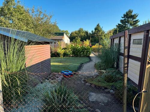 Foto - Attraktives Gartengrundstück in Friedland, Mecklenburg