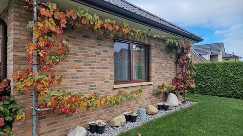 Foto - 4 Zimmer Bungalow in Dörpen