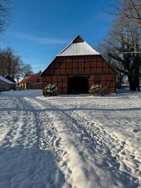 Foto - Traum vom Pferdehof mit 7 Hektar anliegendem Land zur Pacht