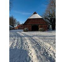 Traum vom Pferdehof mit 7 Hektar anliegendem Land zur Pacht - Bad Bodenteich