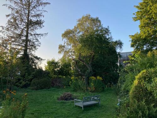 Foto - Frisch renoviertes 2-Zimmer-Haus mit Garten