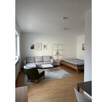 Stilvoll möbliertes 1-Zimmer Apartment mit Südbalkon inkl.Stellpl - Wiesbaden Nordost