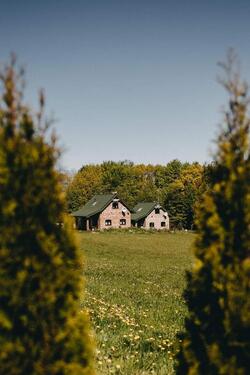 Foto - Ruhe pur Ferienhaus polnische Ostsee Hunde willkommen