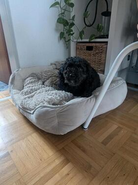 Foto - Etagenwohnung in Bad Krozingen zur Miete