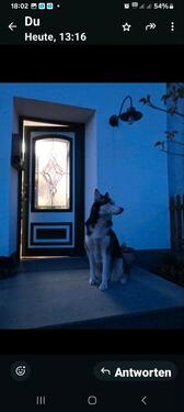 Foto - Doppelhaushälfte in Rüthen zum Kaufen