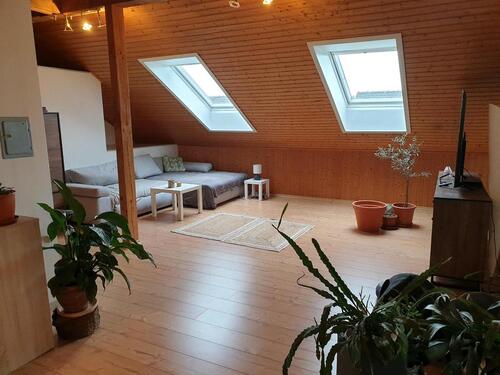 Foto - Große 2 Zimmer Wohnung mit Wintergarten
