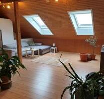 Große 2 Zimmer Wohnung mit Wintergarten - Altenkirchen (Westerwald)