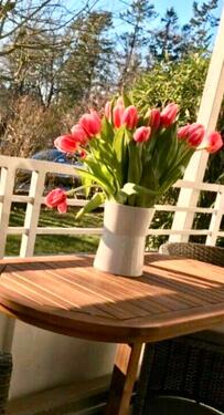 Foto - FerienwohnungFeWo im ❤️ von Timmendorfer Strand-Ferienwohnung
