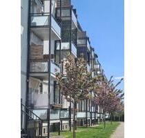Sanierte 43 m², 2-Raum - 339,00 EUR Kaltmiete, in Magdeburg (PLZ: 39126) Barleber See