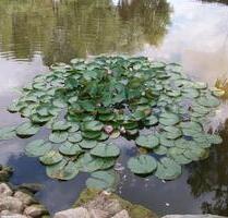 Ich biete mich als Nachmieter für deine Wohnung an:-))) - Potsdam Industriegelände