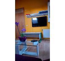 Zimmer zu vermieten - 520,00&nbsp;EUR Kaltmiete, ca.&nbsp; 35,00&nbsp;m&sup2; in Schemmerhofen (PLZ: 88433)