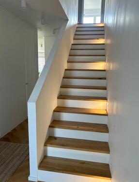 Foto - Modernes Einfamilienhaus + Einliegerwohnung Neubau