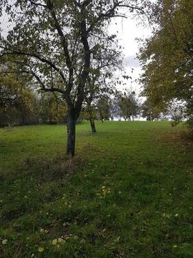 Foto - Grundstück in Kraichtal zur Miete