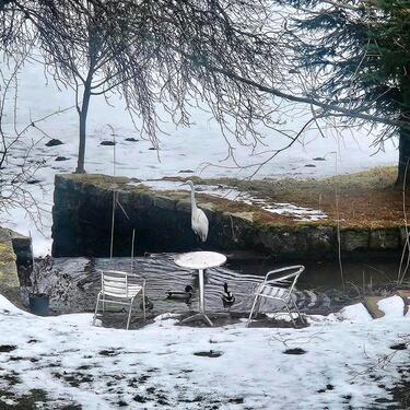 Foto - Mehrfamilienhaus, Wohnhaus in Zell im Fichtelgebirge zum Kaufen