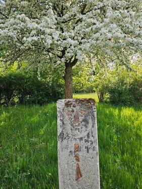 Foto - andere zur Miete in Frontenhausen